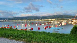 継続して1年