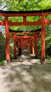 城崎温泉ふれあい旅行