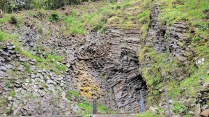 城崎温泉ふれあい旅行