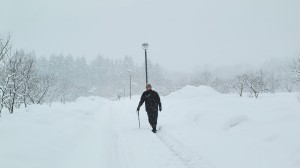 2026年1月のマキノ