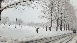 2026年1月のマキノ