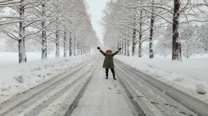 2026年1月のマキノ