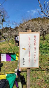 朗読会の仲間と「寿長生の郷」梅まつりへ