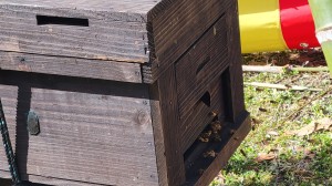 朗読会の仲間と「寿長生の郷」梅まつりへ