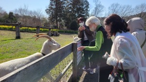 朗読会の仲間と「寿長生の郷」梅まつりへ